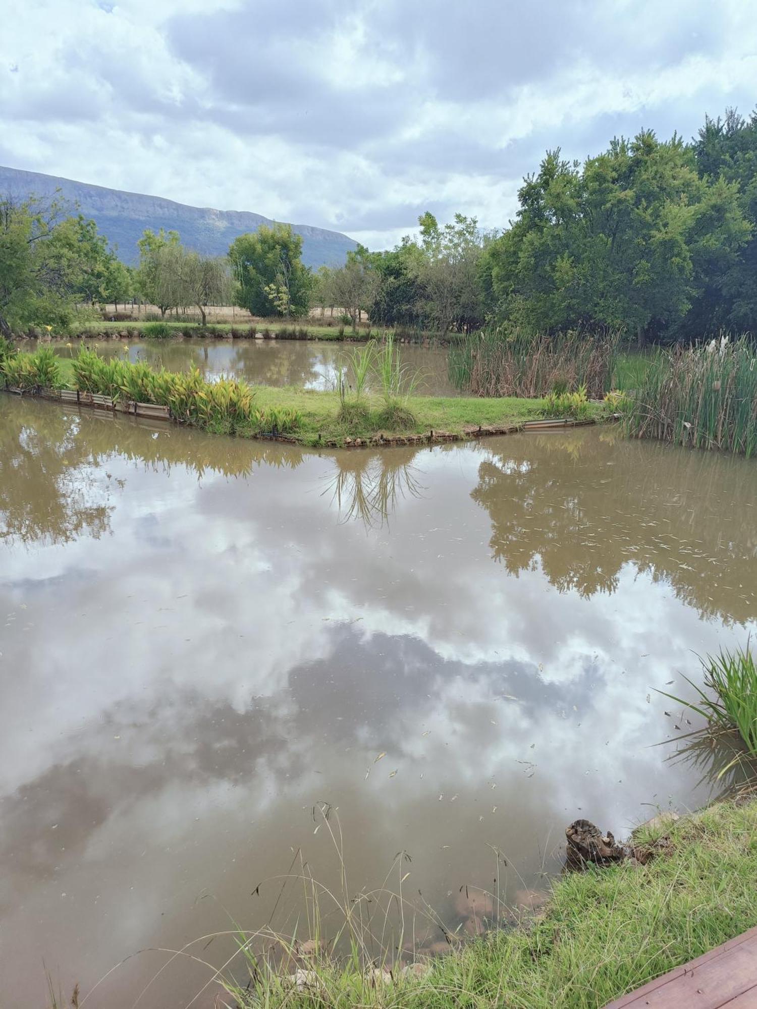 Millstream Inn Guest House Skeerpoort Bagian luar foto