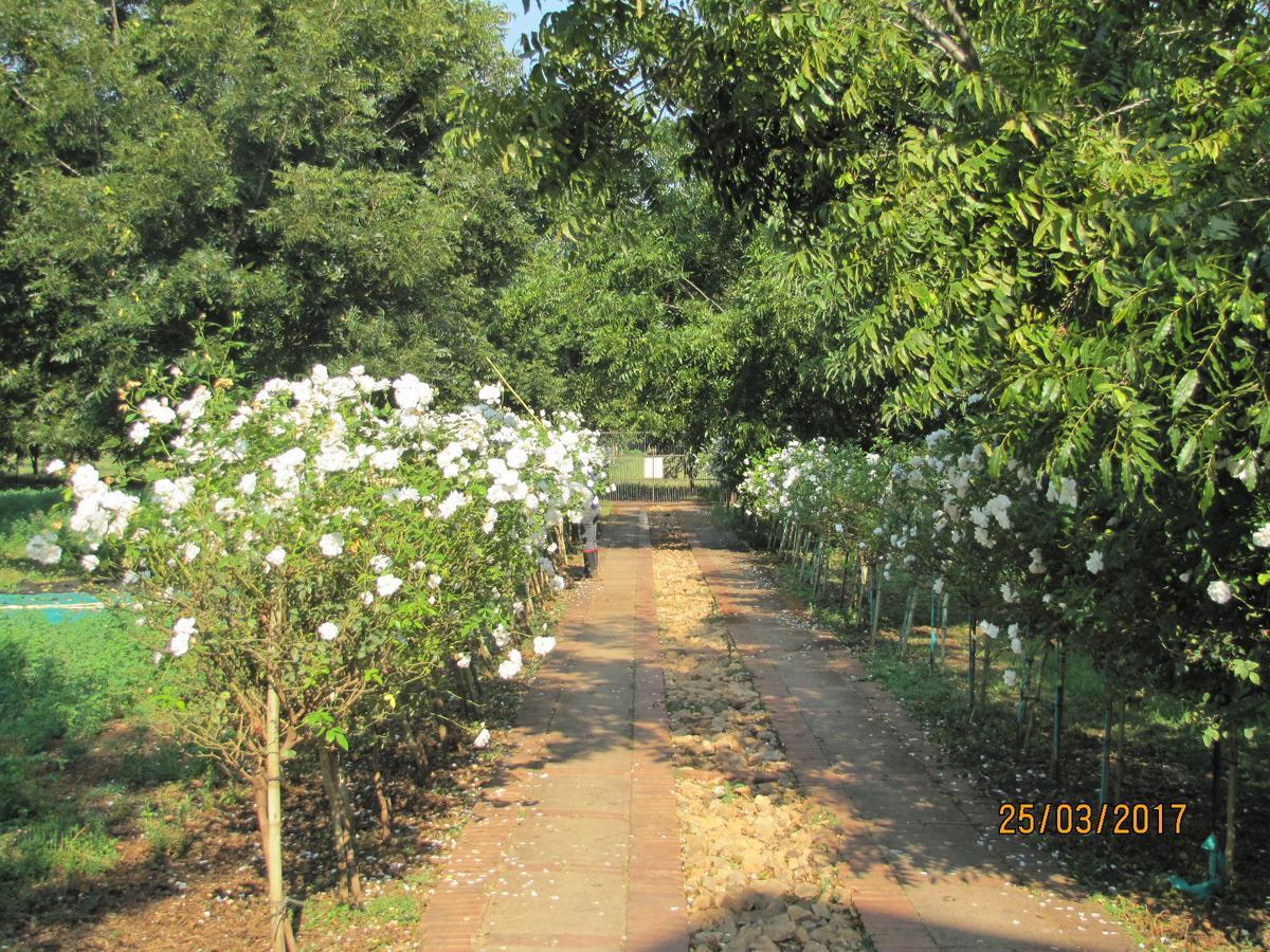 Millstream Inn Guest House Skeerpoort Bagian luar foto